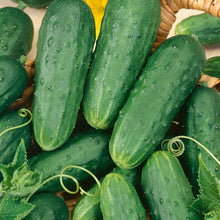 Load image into Gallery viewer, Cucumber, Homemade Pickles - Organic