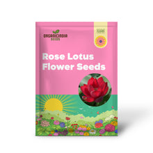 Load image into Gallery viewer, Lotus, Red Rose Seeds