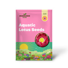Load image into Gallery viewer, Lotus, Crimson Seeds
