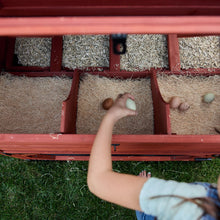 Load image into Gallery viewer, Chicken Coop for 10 Chickens – Rhode Island Homestead Coop with Run Extension Options