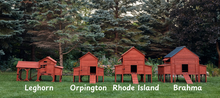 Load image into Gallery viewer, Chicken Coop for 10 Chickens – Rhode Island Homestead Coop with Run Extension Options
