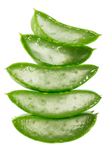 Load image into Gallery viewer, Aloe