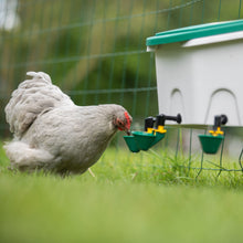 Load image into Gallery viewer, 2 Gal Poultry Drinker - 3 Cups