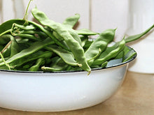 Load image into Gallery viewer, Bean, Romano Bush