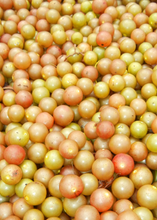 Load image into Gallery viewer, Muscadine, Carlos