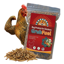 Load image into Gallery viewer, GrubFuel - Black Soldier Fly Larvae for chickens