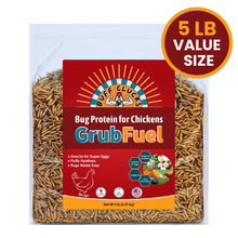 Load image into Gallery viewer, GrubFuel - Black Soldier Fly Larvae for chickens