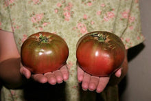 Load image into Gallery viewer, Tomato, Purple Cherokee