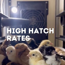 Load image into Gallery viewer, CT60 H - Egg Hatcher Only - Automatic Poultry Hatching Machine