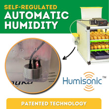 Load image into Gallery viewer, CT60 H - Egg Hatcher Only - Automatic Poultry Hatching Machine