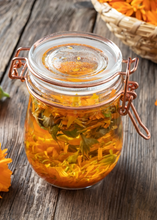 Load image into Gallery viewer, Calendula, Orange