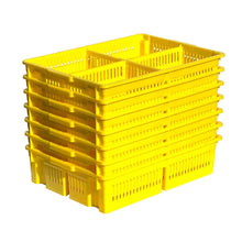 Load image into Gallery viewer, Large Chick Basket - 4 Section (4x25 Chicks)