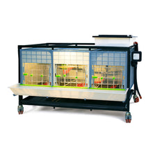 Load image into Gallery viewer, Chick Brooder - 1 Layer H: 15"