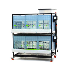 Load image into Gallery viewer, Chick Brooder - 2 Layer H: 15"