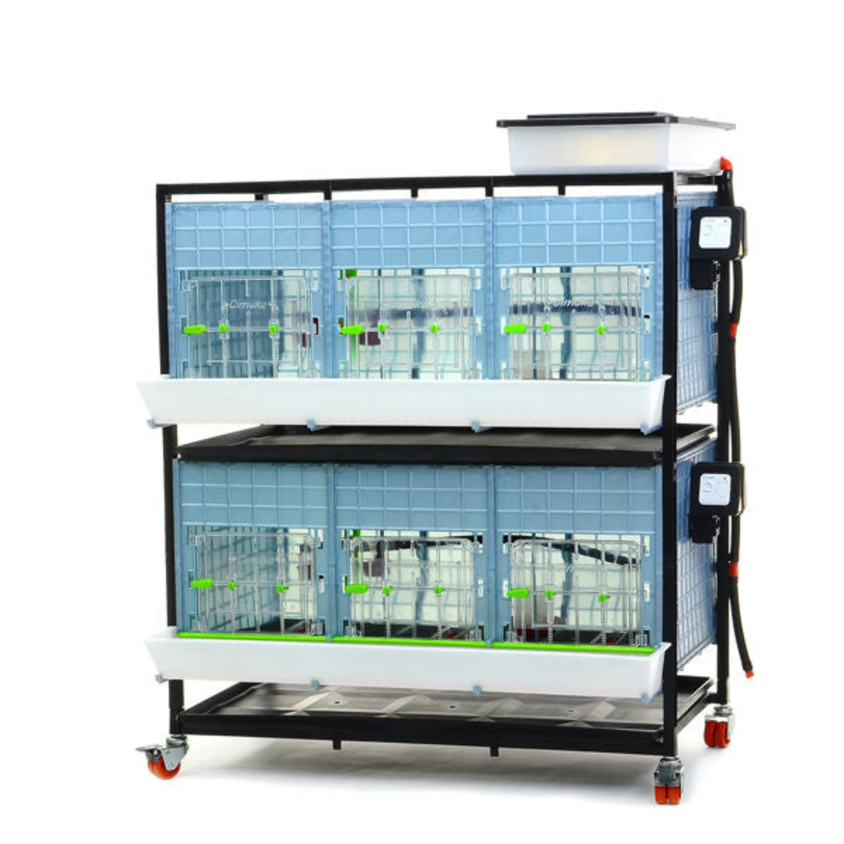 Chick Brooder - 2 Layer H: 15