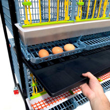 Load image into Gallery viewer, Chicken Cage - 3 Layer H: 15"