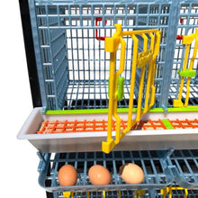 Load image into Gallery viewer, Chicken Cage - 3 Layer H: 15"