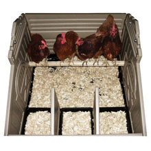 Load image into Gallery viewer, Standard Chicken Coop &amp; Stand with Stairs