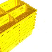 Load image into Gallery viewer, Large Chick Basket - 4 Section (4x25 Chicks)