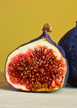 Load image into Gallery viewer, Fig, Chicago Hardy