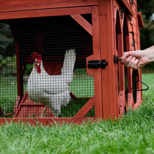 Load image into Gallery viewer, Chicken Coop for 4 Chickens – Leghorn Cottage Chicken Coop