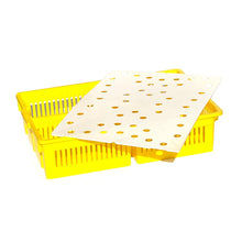 Load image into Gallery viewer, Large Chick Basket - 4 Section (4x25 Chicks)