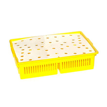 Load image into Gallery viewer, Large Chick Basket - 4 Section (4x25 Chicks)
