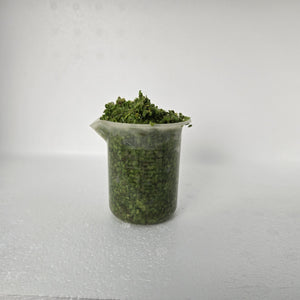 Duckweed
