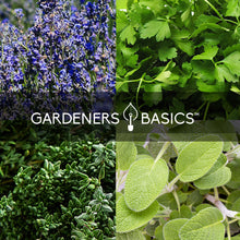 Load image into Gallery viewer, Popular Herb Seeds for Planting | 35 Variety Pack