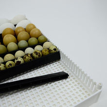 Load image into Gallery viewer, Egg Setter Tray (Flexy80ST)