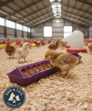 Load image into Gallery viewer, Chick Feeder, 20" Purple Plastic - 2-Pack