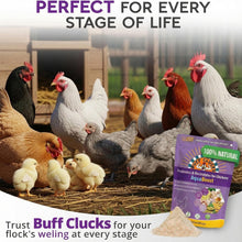 Load image into Gallery viewer, AquaBoost – Electrolytes and Probiotics for Backyard Chickens