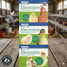 Load image into Gallery viewer, Sav-A-Chick Poultry Vitamins &amp; Electrolytes