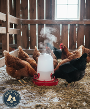 Load image into Gallery viewer, Heated Poultry Waterer, 3 Gallon