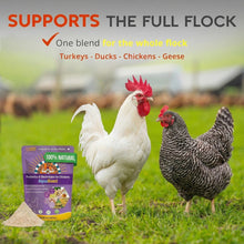 Load image into Gallery viewer, AquaBoost – Electrolytes and Probiotics for Backyard Chickens
