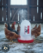 Load image into Gallery viewer, Heated Poultry Waterer, 3 Gallon
