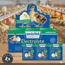 Load image into Gallery viewer, Sav-A-Chick Poultry Vitamins &amp; Electrolytes