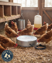 Load image into Gallery viewer, Water Heater Base for Poultry Waterer