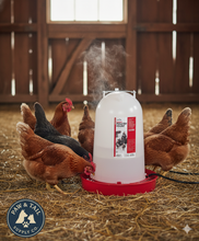 Load image into Gallery viewer, Heated Poultry Waterer, 3 Gallon