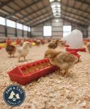 Load image into Gallery viewer, Chick Feeder, 20" Red Plastic - 2-Pack