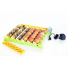 Load image into Gallery viewer, Conturn 30 - Automatic Egg Turner
