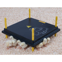 Load image into Gallery viewer, Heating Plate for 30-35 Chicks (16" x 16")