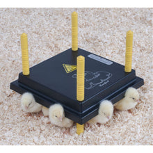 Load image into Gallery viewer, Heating Plate for 15-20 Chicks (10" x 10")