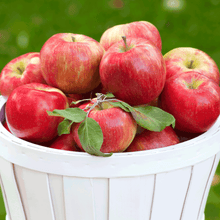 Load image into Gallery viewer, Apple, Honeycrisp™