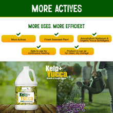 Load image into Gallery viewer, Organic Soil Moisture Retainer &amp; Plant Growth Enhancer