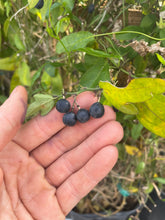 Load image into Gallery viewer, Passion Fruit, Corky Stem