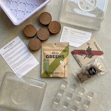 Load image into Gallery viewer, Microgreens and Seed-Starting Kit