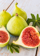 Load image into Gallery viewer, Fig, Kadota