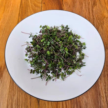 Load image into Gallery viewer, Kale Microgreens Seeds