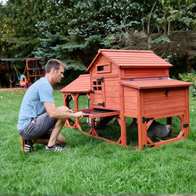 Load image into Gallery viewer, Chicken Coop for 4 Chickens – Leghorn Cottage Chicken Coop